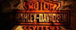 El Diablo Run（ハーレーDVD）
