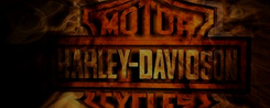 El Diablo Run（ハーレーDVD）